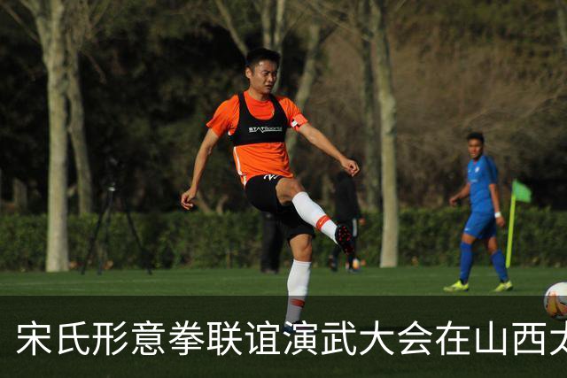 宋氏形意拳联谊演武大会在山西太谷举行 海内外传人同台切磋